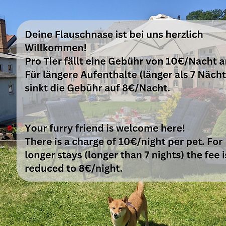 F4 - Urlaubsmagie - Grosse Wohnung Fuer Bis Zu 10 Personen Sebnitz Exterior photo