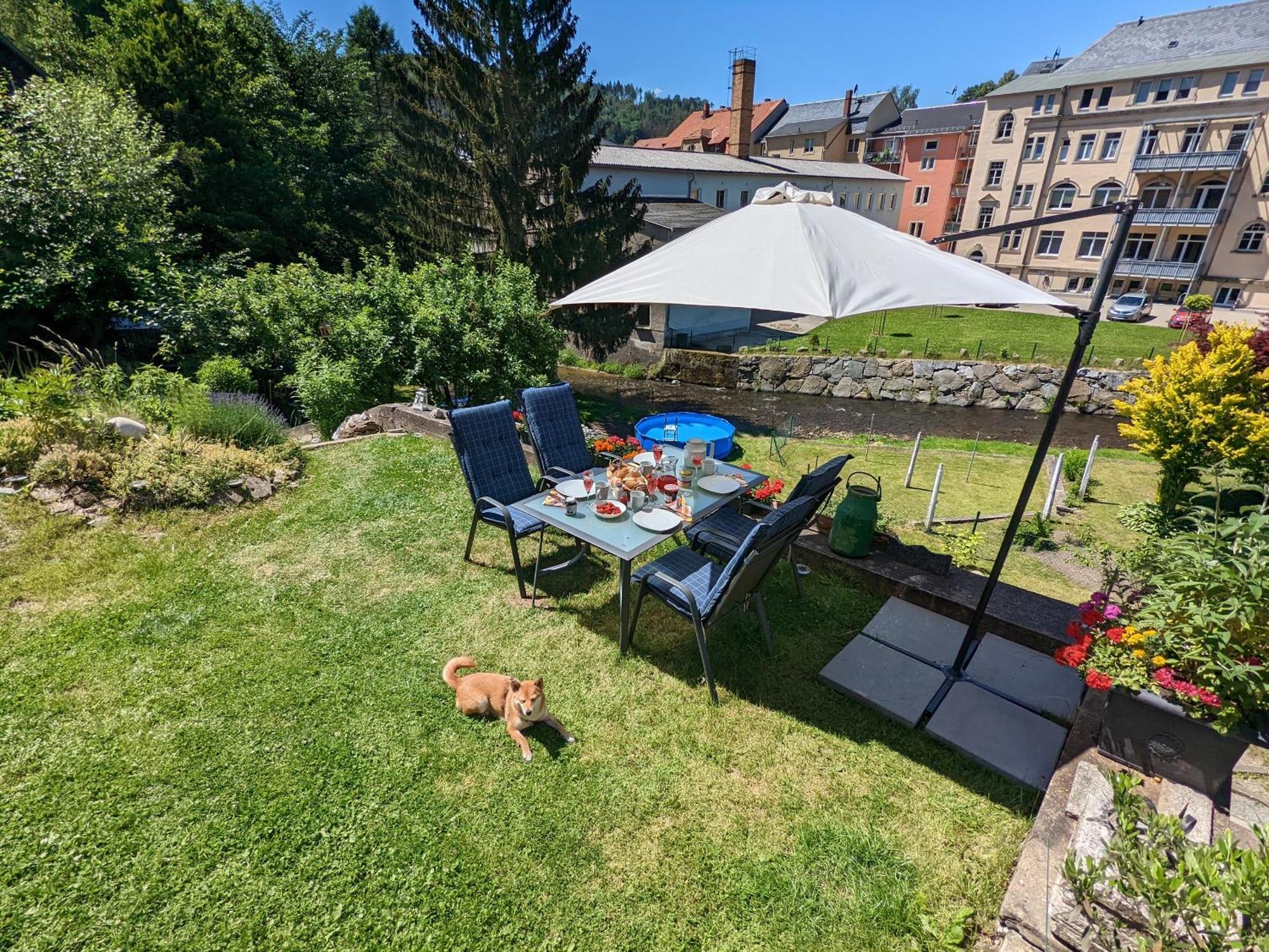 F4 - Urlaubsmagie - Grosse Wohnung Fuer Bis Zu 10 Personen Sebnitz Exterior photo