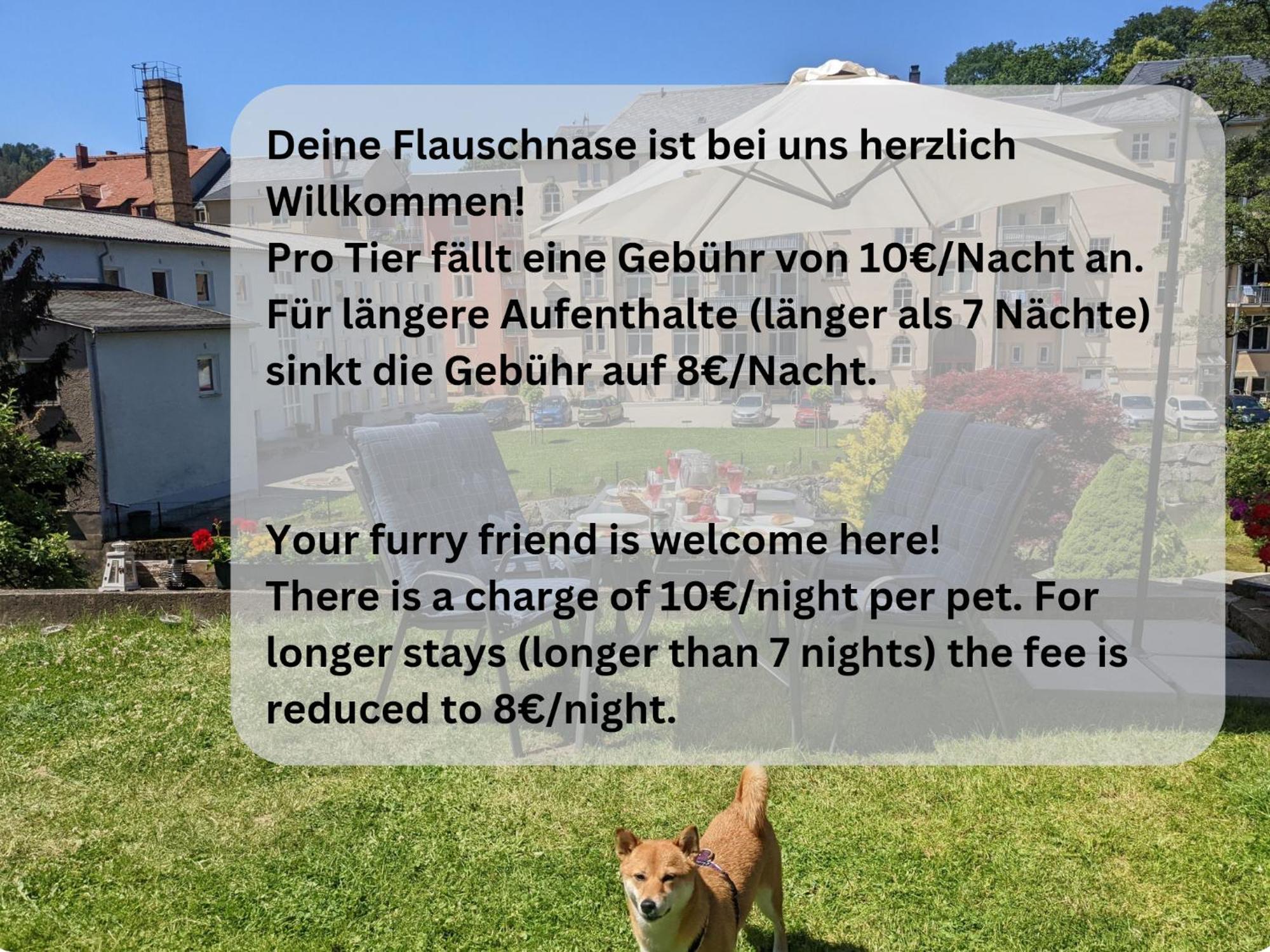 F4 - Urlaubsmagie - Grosse Wohnung Fuer Bis Zu 10 Personen Sebnitz Exterior photo